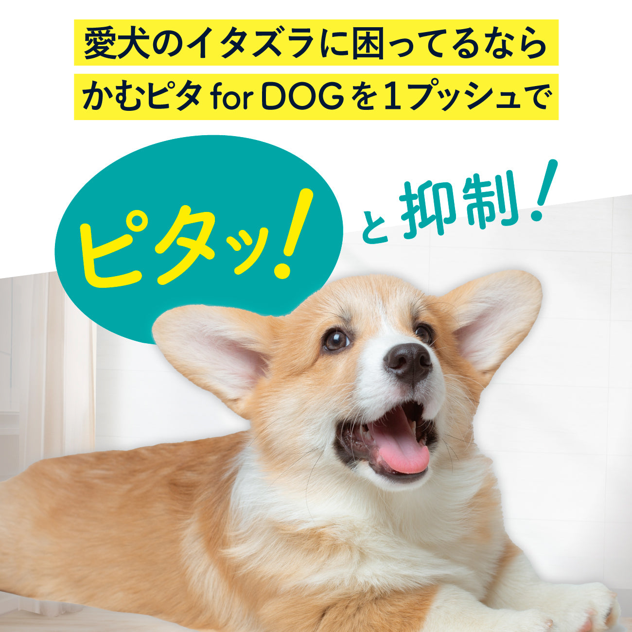 【公式】獣医師監修 犬のいたずら防止スプレー「かむピタ for DOG」100ml