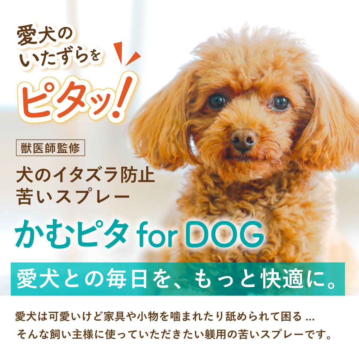 【公式】獣医師監修 犬のいたずら防止スプレー「かむピタ for DOG」100ml