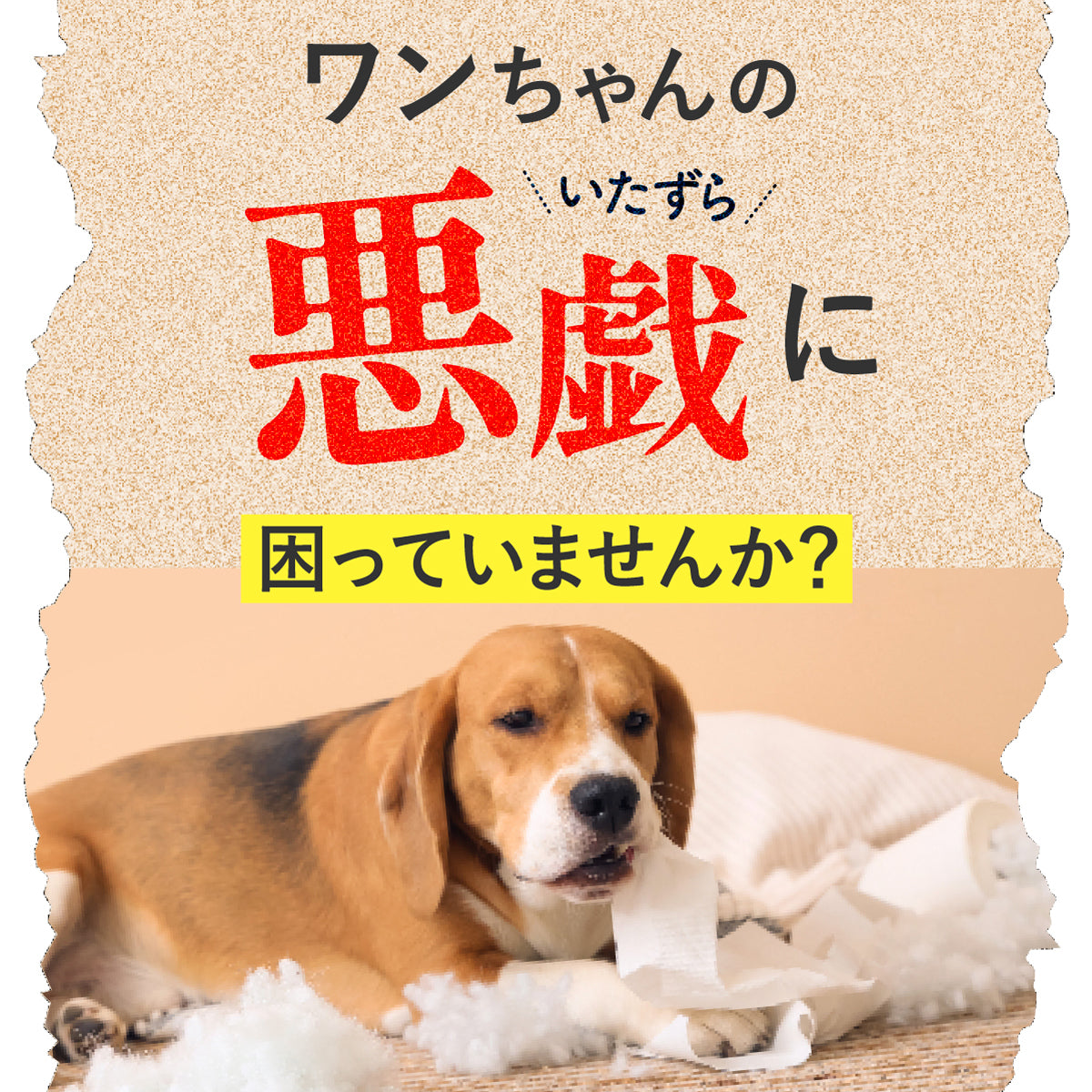 【公式】獣医師監修 犬のいたずら防止スプレー「かむピタ for DOG」100ml