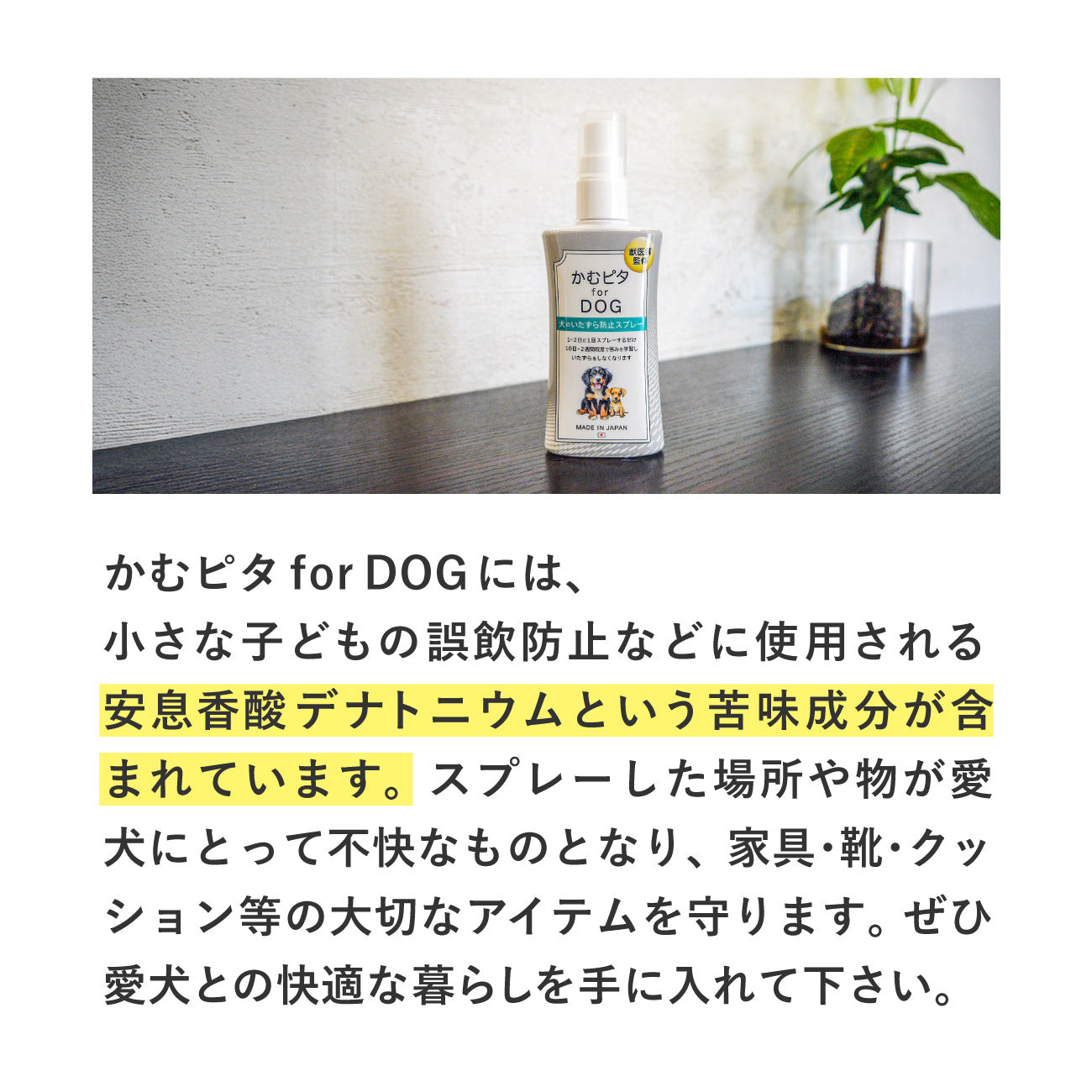 【公式】獣医師監修 犬のいたずら防止スプレー「かむピタ for DOG」100ml